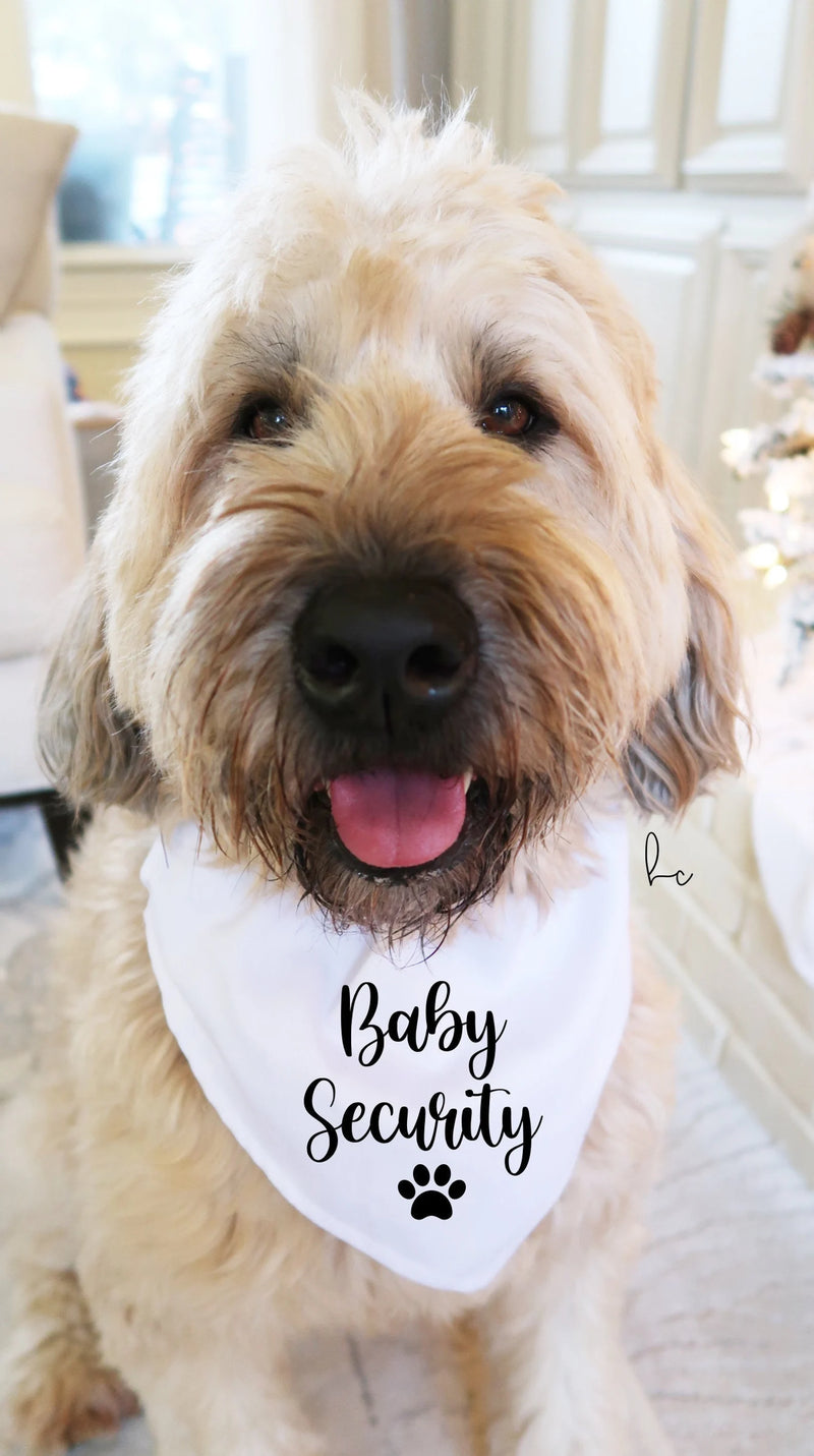 Security store dog bandana