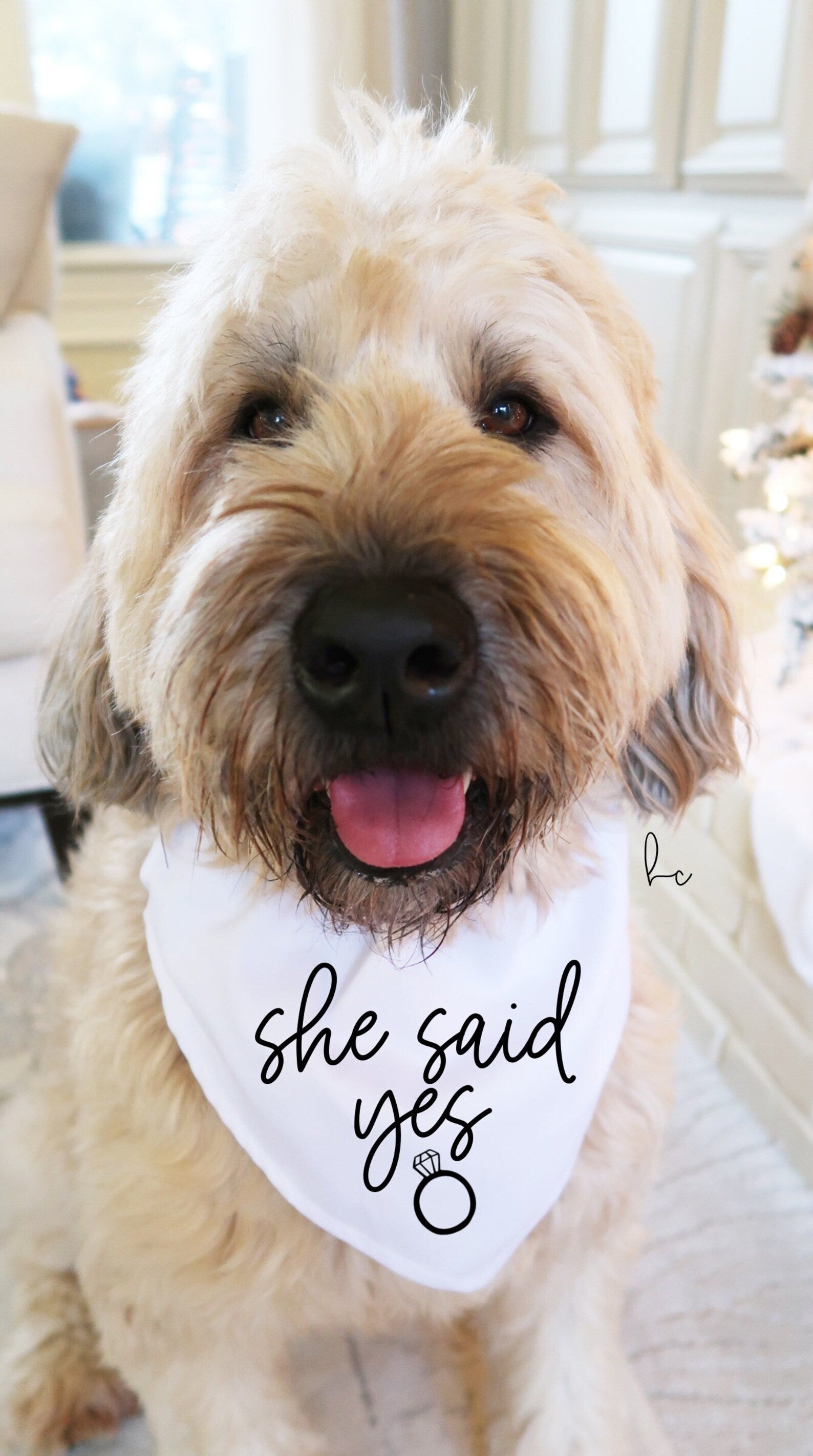 She said yes my humans are getting married dog bandana small medium large dog- engagement announcement for pet announcement dog mom dog