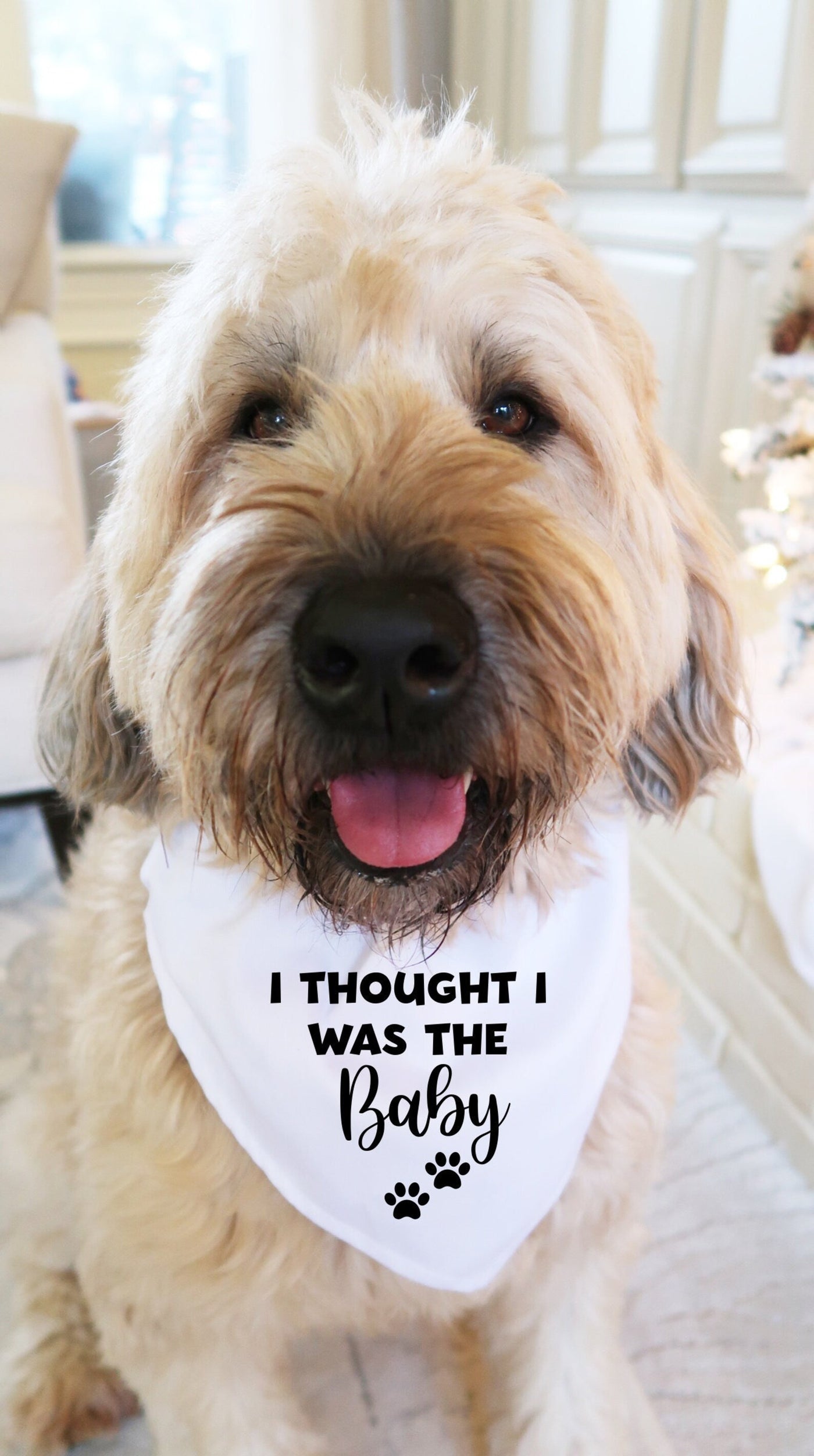 I THOUGHT i was the baby dog bandana my parents are getting me a human –  Happily Chic Designs